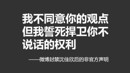 我错了——沈佳欣的非官方声明