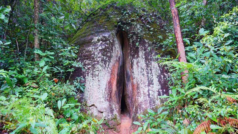 上山上山爱运动时期的重要发现